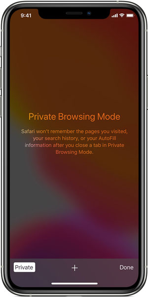 4 Best Free Ways To View Private Browsing History On IPhone